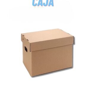 CAJA VAN M/M ARCHIVO 30X40X21