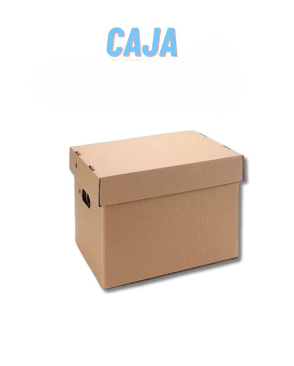 CAJA VAN M/M ARCHIVO 30X40X21