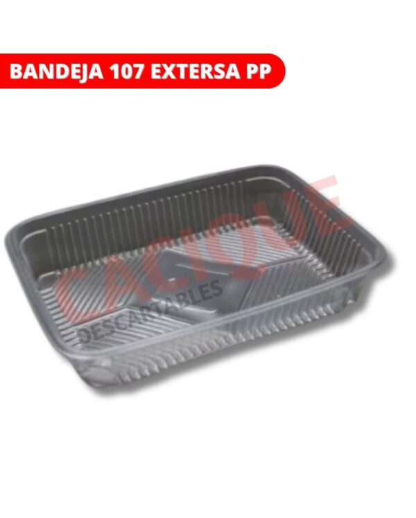 BANDEJA 107 EXTERSA PP
