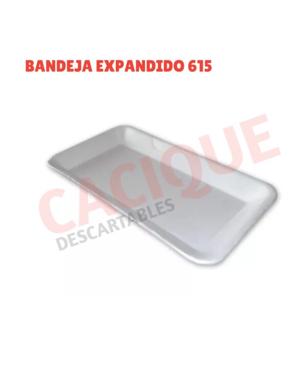 BANDEJA EXPANDIDO RESIGUM 615 X25UNID