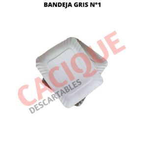 BANDEJA CARTON GRIS 1