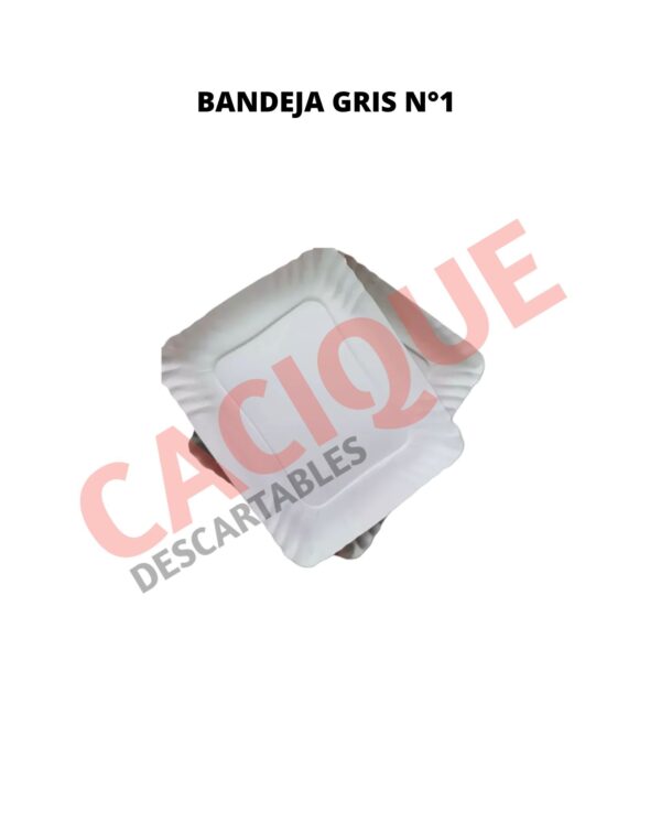 BANDEJA CARTON GRIS 1