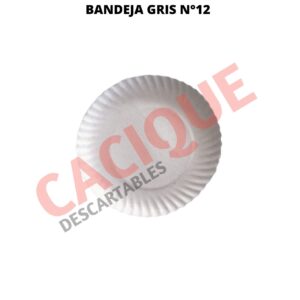 BANDEJA CARTON GRIS N?12 X 20 UNID