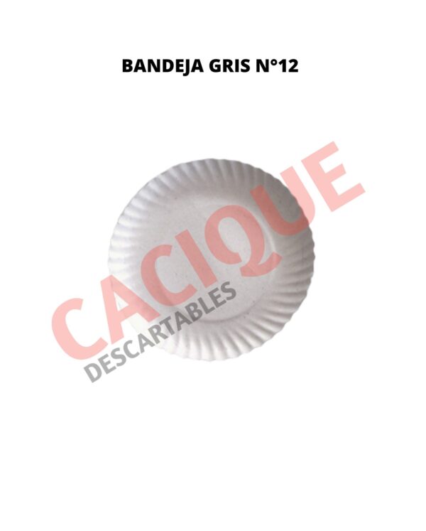 BANDEJA CARTON GRIS N?12 X 20 UNID