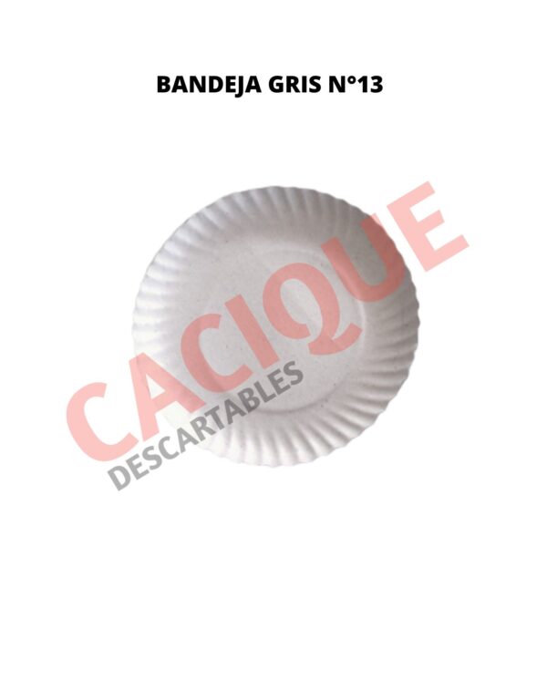 BANDEJA CARTON GRIS N?13 X 20 UNID