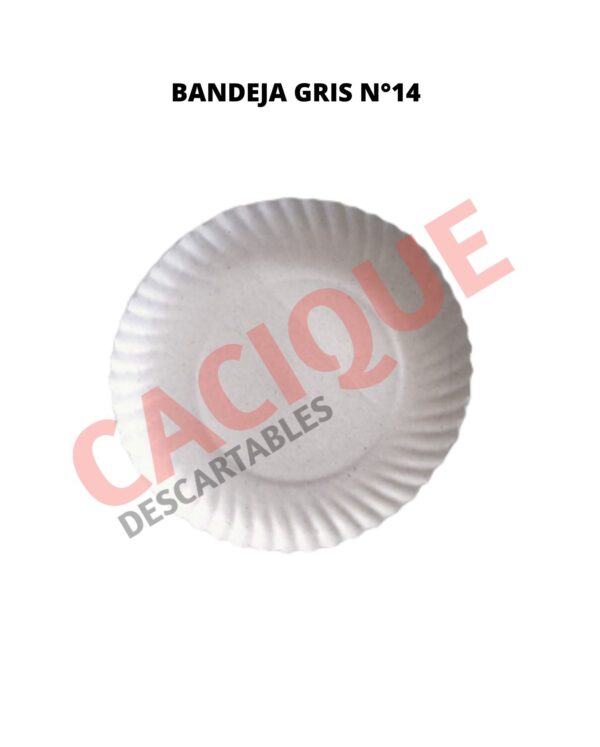 BANDEJA CARTON GRIS N?14 X 20 UNID