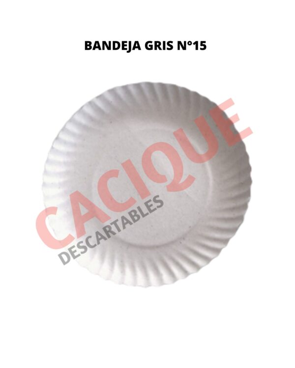 BANDEJA CARTON GRIS N?15 X 20 UNID