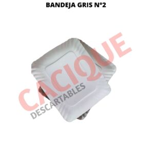 BANDEJA CARTON GRIS 2