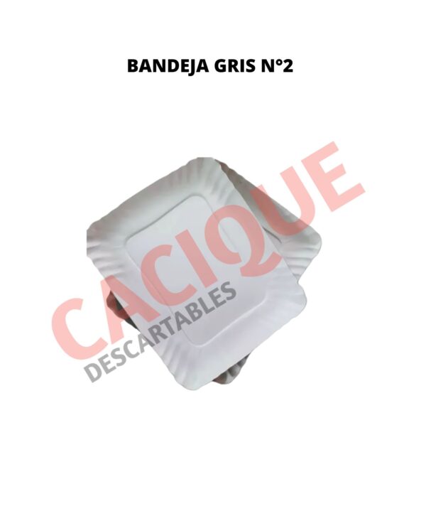 BANDEJA CARTON GRIS 2