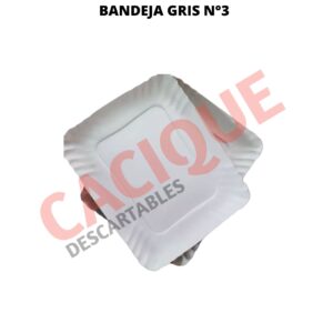 BANDEJA CARTON GRIS 3