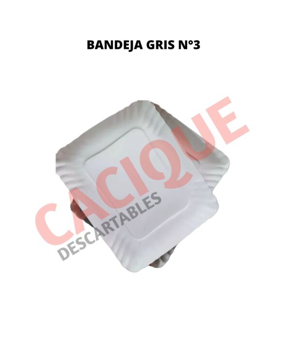 BANDEJA CARTON GRIS 3