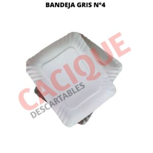 BANDEJA CARTON GRIS 4