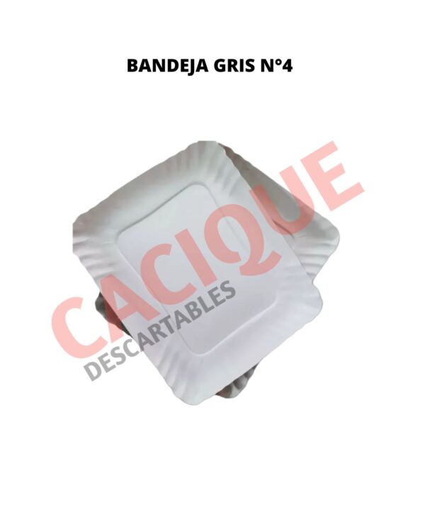 BANDEJA CARTON GRIS 4