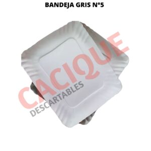 BANDEJA CARTON GRIS 5