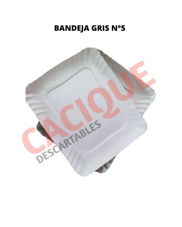 BANDEJA CARTON GRIS 5