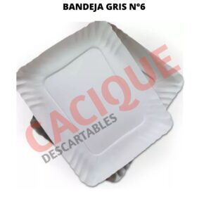 BANDEJA CARTON GRIS 6