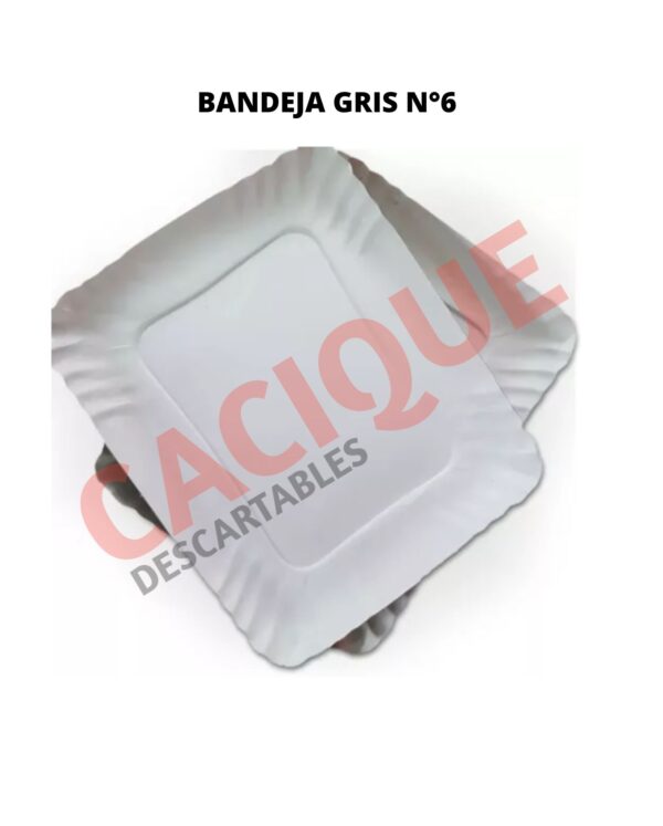 BANDEJA CARTON GRIS 6