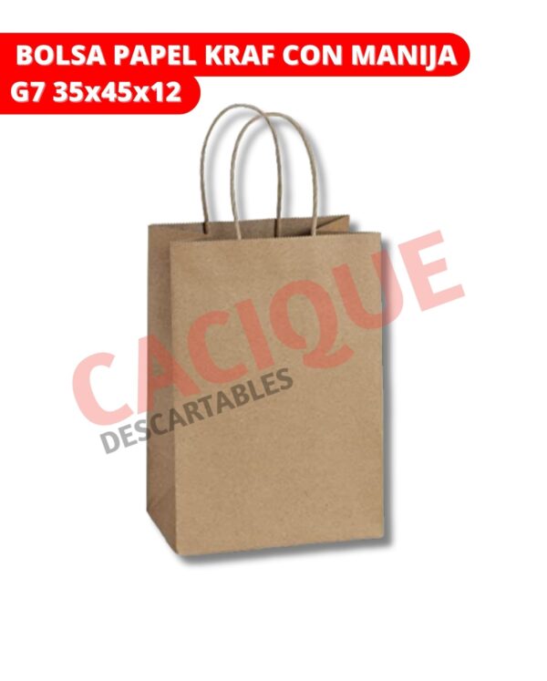 BOLSA KRAF MANIJA G7 35X45X12