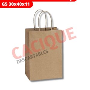 BOLSA KRAF MANIJA G5 30X40X11