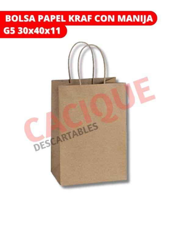 BOLSA KRAF MANIJA G5 30X40X11