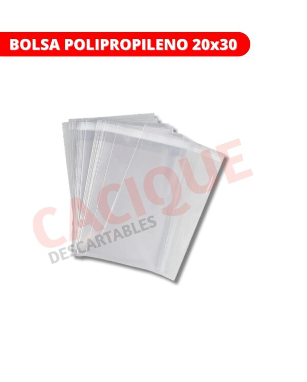 BOLSA POLIPROPILENO 20X30X100