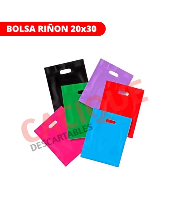 BOLSA RI?ON LISA 20X30