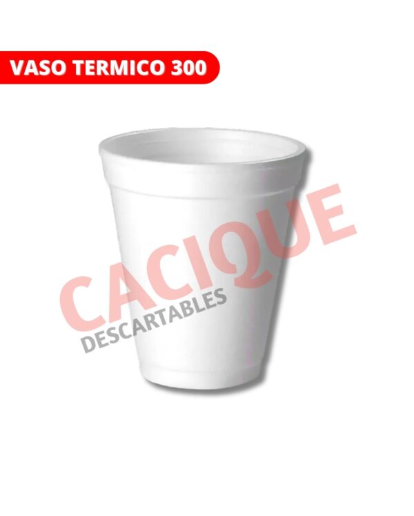 VASO TERMICO 300 X 25UNID