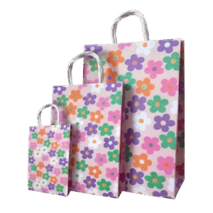 Bolsa Fantasia Con Manija 20x30x9 G3