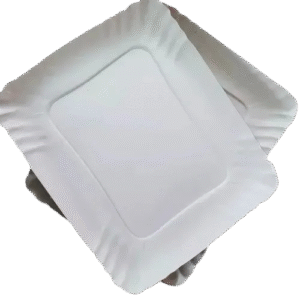 Bandeja Carton Blanca N2