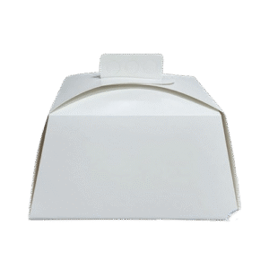 Maletin Sur P/torta 27x27x15