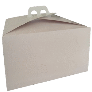 Maletin Sur P/torta 30x30x15
