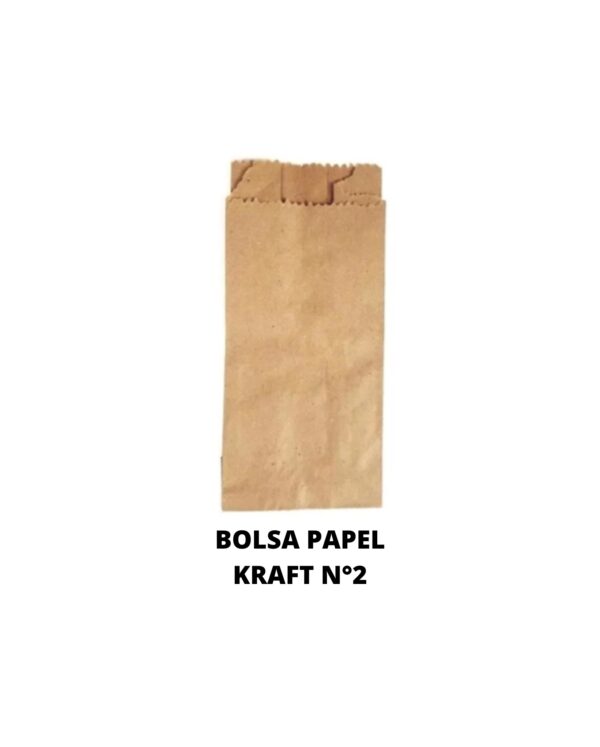 BOLSA PAPEL KRAF 2L