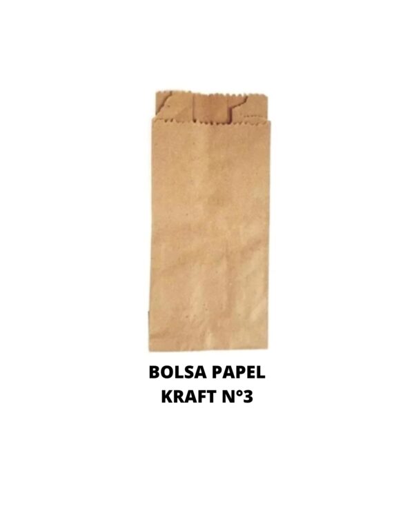 BOLSA PAPEL KRAF 3