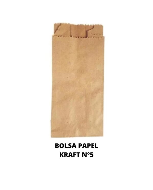 BOLSA PAPEL KRAF 5