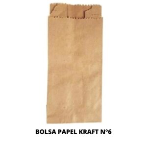 BOLSA PAPEL KRAF 6