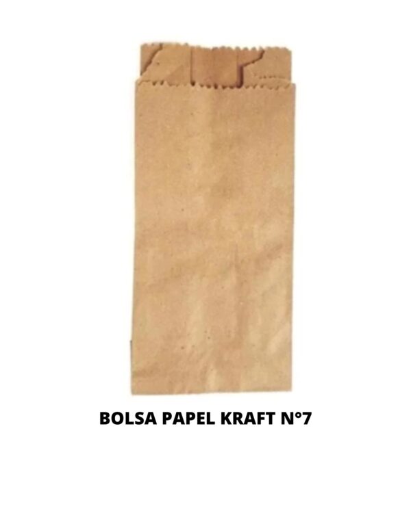 BOLSA PAPEL KRAF 7