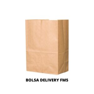 BOLSA DELIVERY FM5 20X30X12
