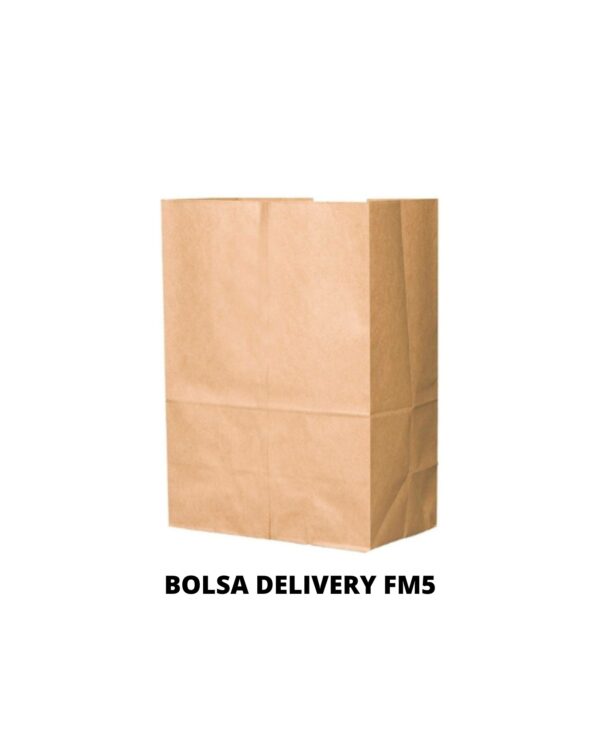 BOLSA DELIVERY FM5 20X30X12