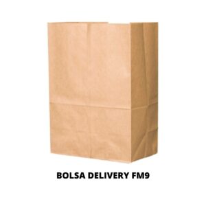 BOLSA DELIVERY FM9 26X38X12