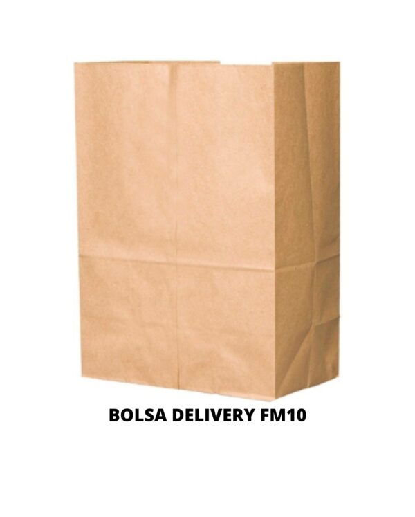 BOLSA DELIVERY FM10 28X38X17