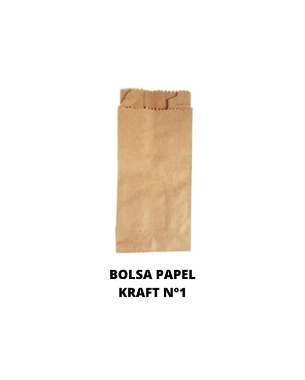 BOLSA PAPEL KRAF 1