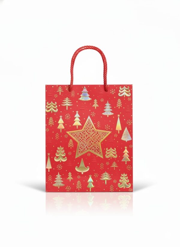 Bolsa Navidad De Papel Cordon Sin Visor - Image 5