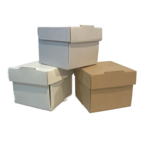 Caja Explosiva 17x17x20