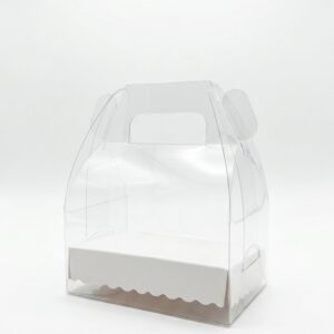 Maletin Sur Acetato 12x8x6