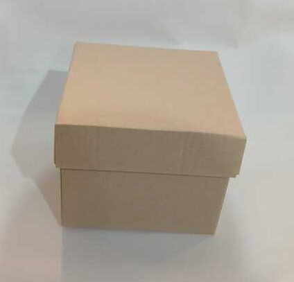 CAJA VAN M/M EXPLOSIVA 12.5X12.5X10 XUNID