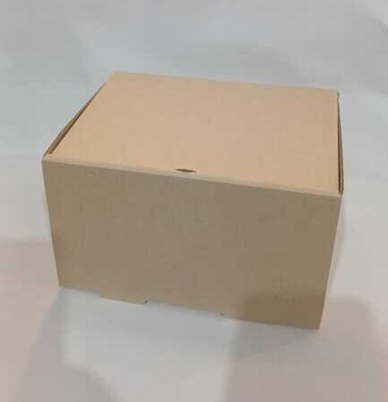 CAJA VAN M/M 13X17X10