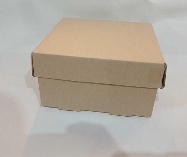 CAJA VAN M/M ANDRE 19X19X10