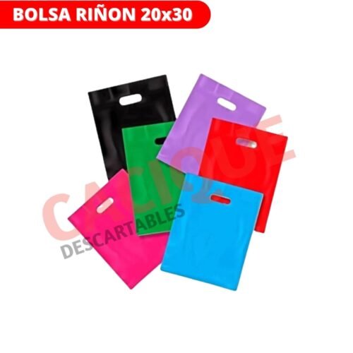 BOLSA RIñON LISA 20X30
