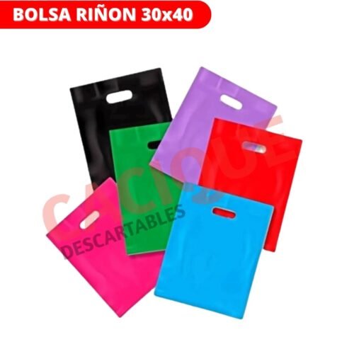 BOLSA RIñON LISA 30X40