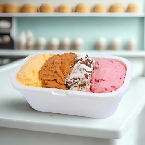 POTE HELADO RECTANGULAR 1000GR